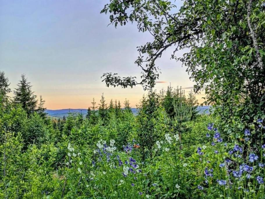 Forest Cabin With Stunning Mountain View & Sauna Villa Torsby Exterior photo