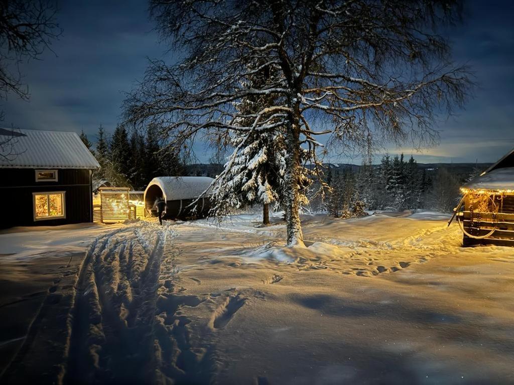 Forest Cabin With Stunning Mountain View & Sauna Villa Torsby Exterior photo