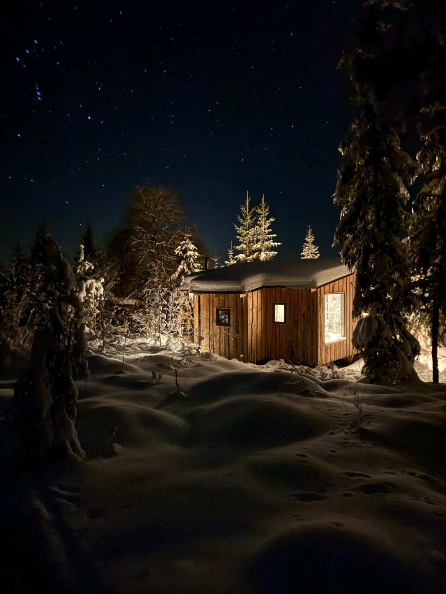 Forest Cabin With Stunning Mountain View & Sauna Villa Torsby Exterior photo