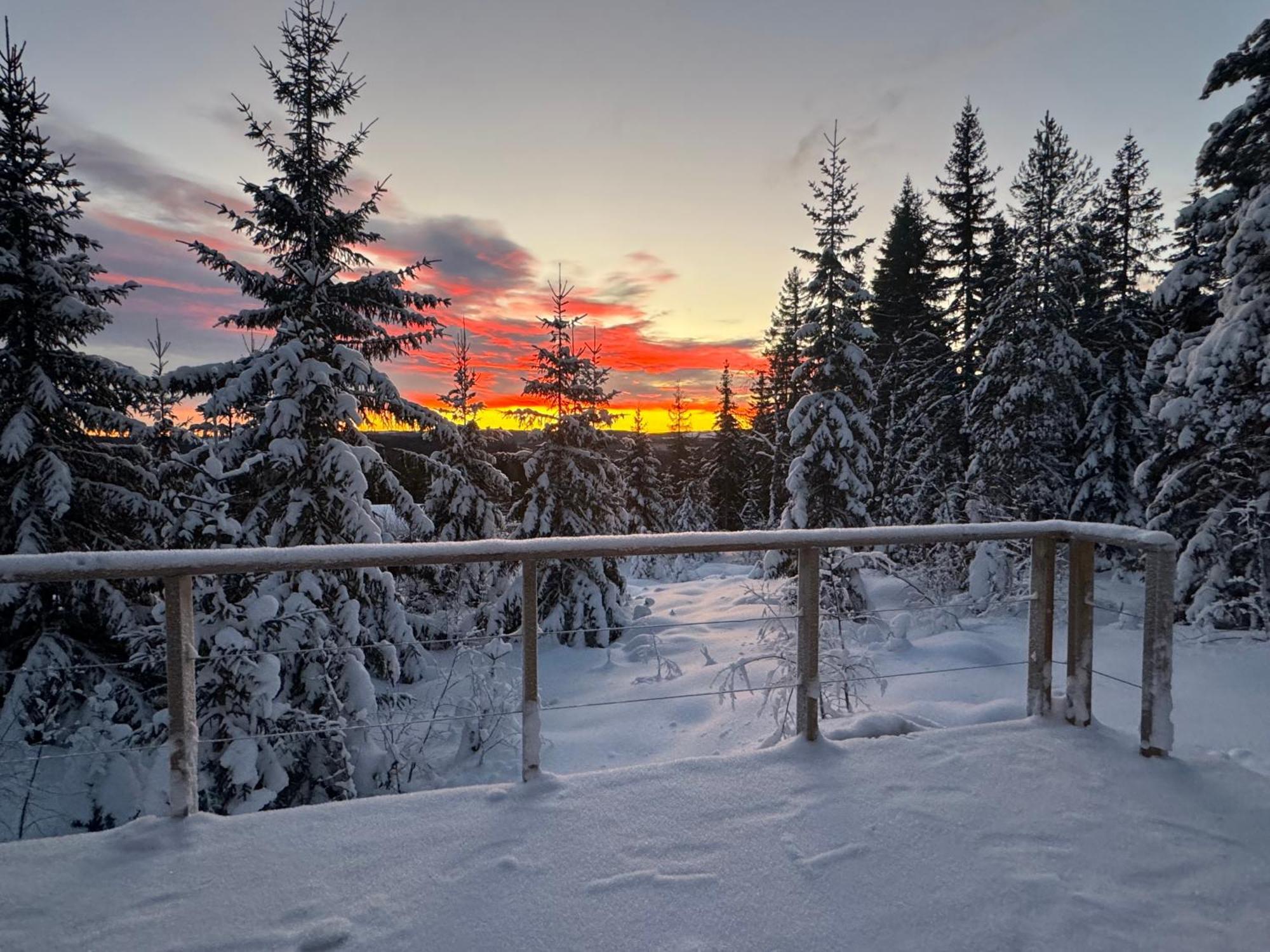 Forest Cabin With Stunning Mountain View & Sauna Villa Torsby Exterior photo